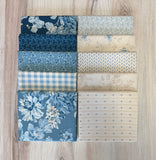 Laundry Basket Quilts, Special Delivery, Half Yard Bundle