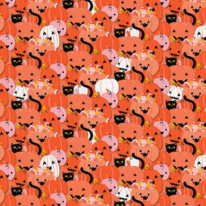 Pumpkin Roundup 12024690