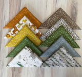 Riley Blake, Leo and Savannah, Fat Quarter Bundle