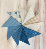 Laundry Basket Quilts, Special Delivery, Fat Quarter Bundle