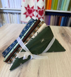 Riley Blake, Plaid Venture Club, Fat Quarter Bundle