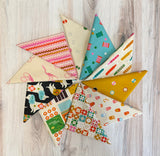 Moda, Ruby Star, 1800 Notions, Fat Quarter Bundle