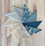 Laundry Basket Quilts, Special Delivery, Fat Quarter Bundle