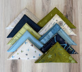 Moda, High Flight, Fat Quarter Bundle