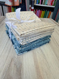 Laundry Basket Quilts, Special Delivery, Half Yard Bundle
