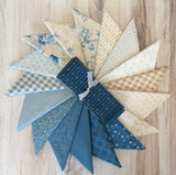 Laundry Basket Quilts, Special Delivery, Quilt Kit WITH BOOK