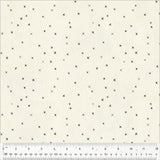 X Marks the Spot 54268-10 Cross Stitch by Windham