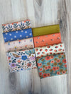 Cloud 9 , Fat Quarter Bundle