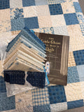 Laundry Basket Quilts, Special Delivery, Quilt Kit WITH BOOK
