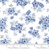 Star Spangled Dawn 24170 12 Moda