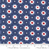 Star Spangled Twilight 24173 13 Moda