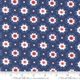 Star Spangled Twilight 24173 13 Moda