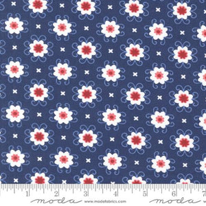 Star Spangled Twilight 24173 13 Moda