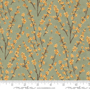 Acorn Hollow Sage 30765 18 Moda