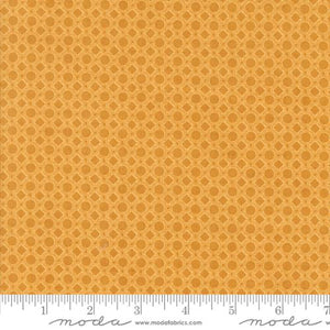 Acorn Hollow Maize 30768 20 Moda