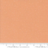 Rainier Peach 38149 21 Moda