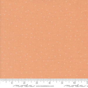Rainier Peach 38149 21 Moda
