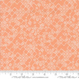 Foraged Found Peach 45635 19 Moda