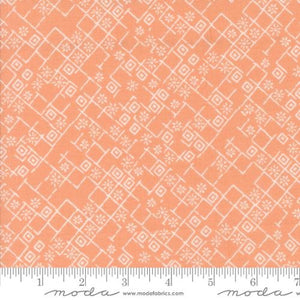 Foraged Found Peach 45635 19 Moda