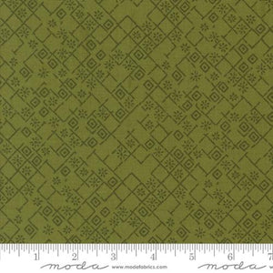 Foraged Found Fern 45635 21 Moda