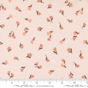 Blossoms And Blooms Blush 39055 13 Moda