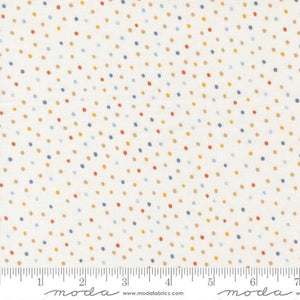 Blossoms And Blooms Pearl 39056 11 Moda