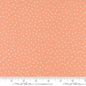 Blossoms And Blooms Peach 39056 14 Moda Dots