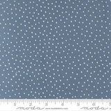 Blossoms And Blooms Denim 39056 21 Moda Dots