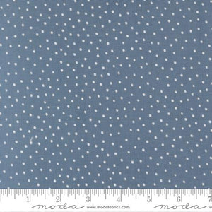 Blossoms And Blooms Denim 39056 21 Moda Dots