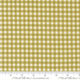 Lucky Gingham Grass 55707 16 Moda