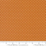 Animal Park Fun Tiger 20967 17 Moda