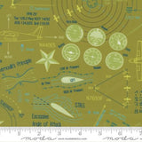 High Flight Grass 45061 13 Moda