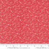 Lyda Rose Petal 3076 15 Moda