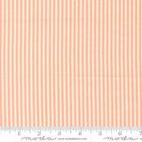 Pastel Prairie Jovial 31787 17 Moda Stripe