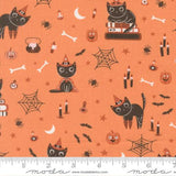 Purrs and Boos Pumpkin 39060 14 Moda