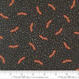 Purrs and Boos Black Cat 39063 16 Moda