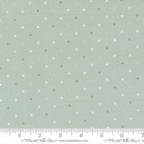 Magic Dot Robins Egg 5230 64 Moda
