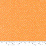 Birch and Willow Amber 37728 13 Moda