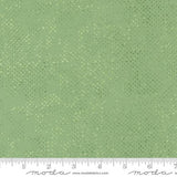 Spotted Celadon 1660 64 Moda