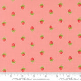 Bloomsberry Blush 55352 16 Moda