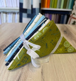 Moda, High Flight, Fat Quarter Bundle