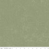 National Parks Topographic Green C13293-Green