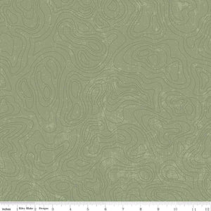 National Parks Topographic Green C13293-Green