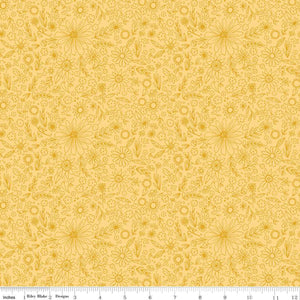 C13722-Sunshine Homemade Outlined Flowers Sunshine