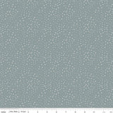 Leo & Savannah Terrain Blue  C17546-BLUE by Riley Blake