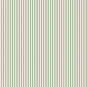 1/8" Stripe on Ivory Sage C505-Sage by Riley Blake