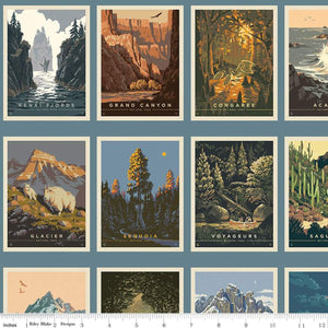 National Parks Postcards Blue CD13291-Blue