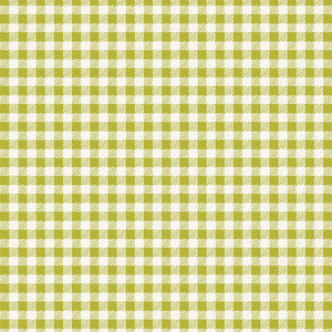 Cottage Grove Checkered Charm Sprout CTG77110 by Art Gallery Fabrics