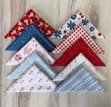 Riley Blake, Firework Fields, Fat Quarter Bundle