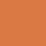 Dried Carrot PE-457  Pure Solids by Art Gallery